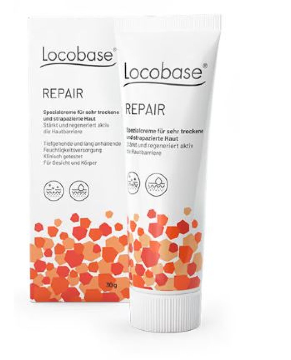 LOCOBASE-REPAIR 100G