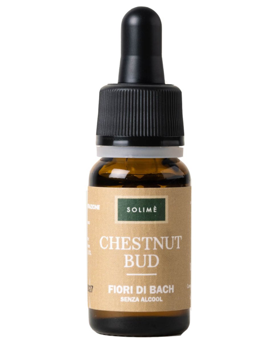 CHESTNUT BUD 10ML