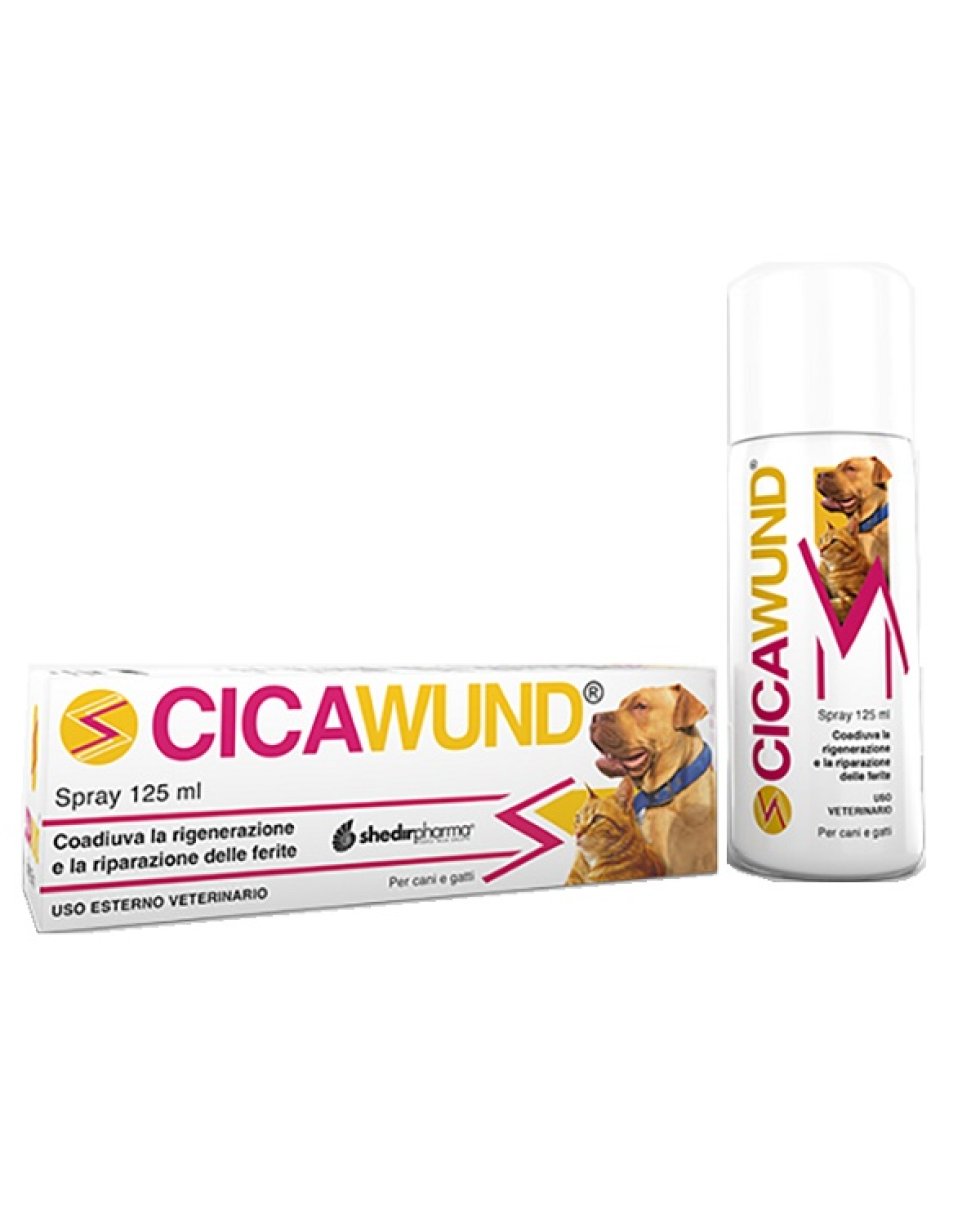 CICAWUND SPRAY 125ML