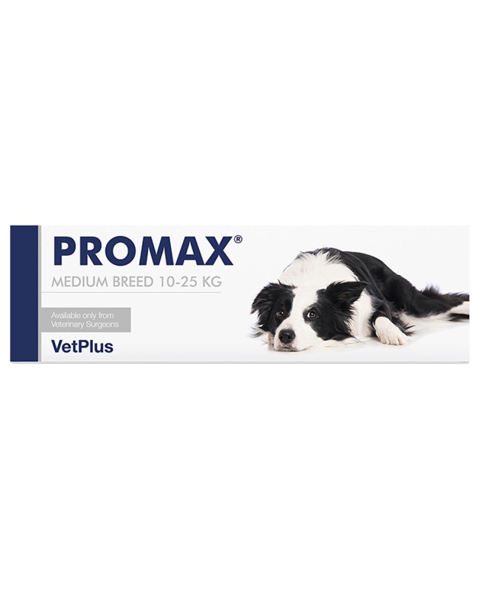 PROMAX MEDIUM BREED 18ML