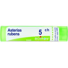 ASTERIAS RUBENS 5CH GR