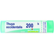 THUYA OCCIDENT 200K GR