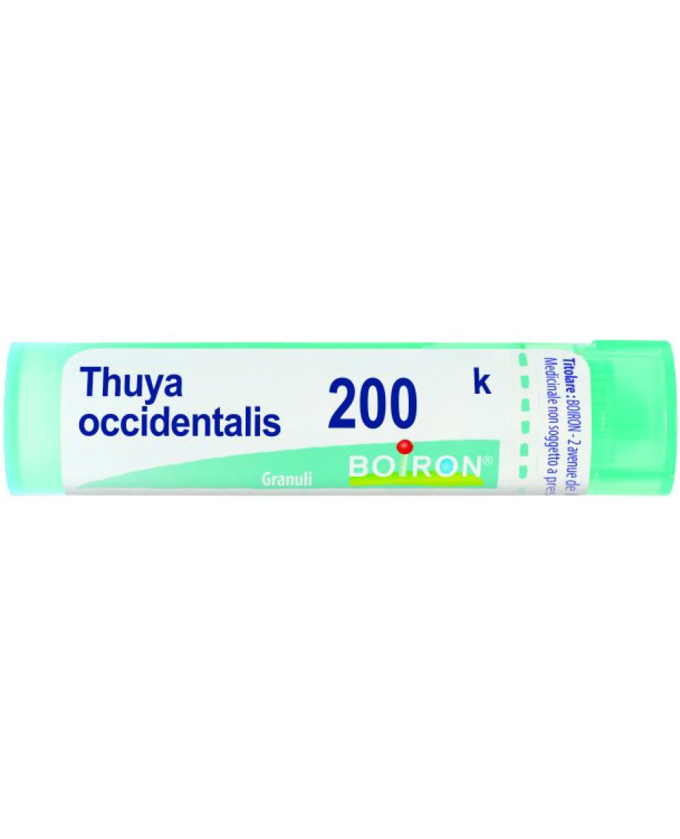 THUYA OCCIDENT 200K GR