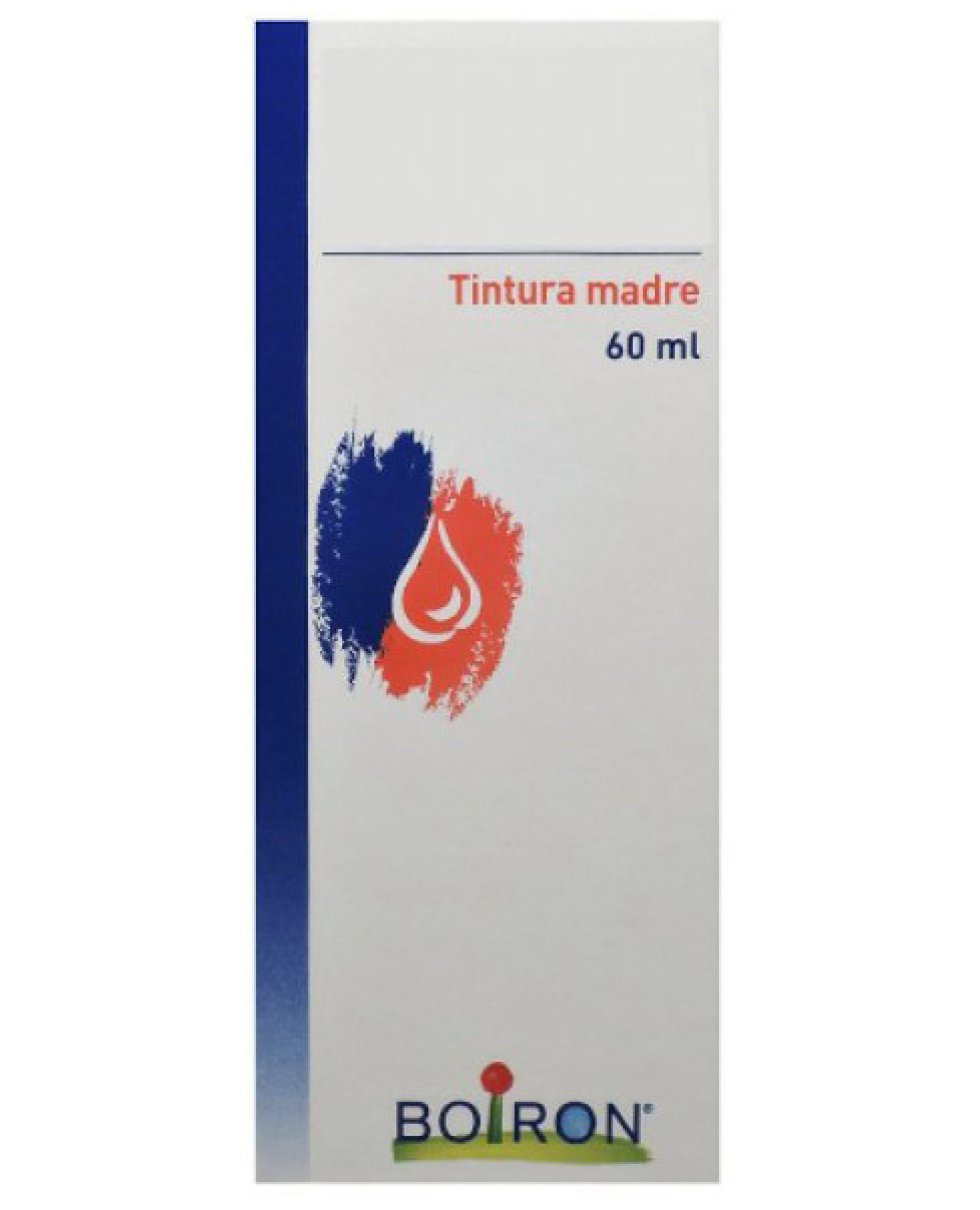 THUYA OCC TM 60ML BO