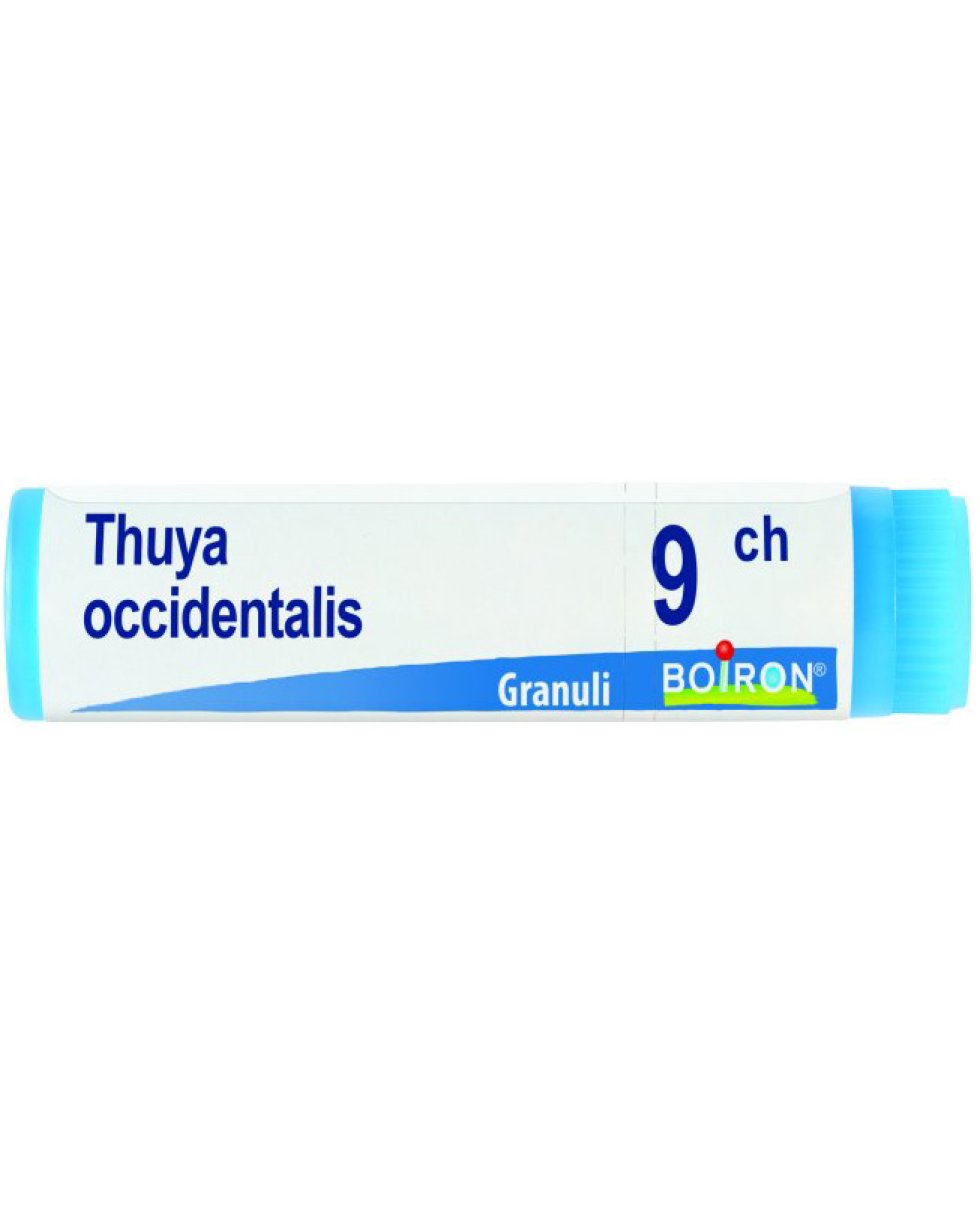 THUYA OCCIDENT 9CH GL