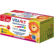 VITA ACT MULTIVITAMINICO J 10F