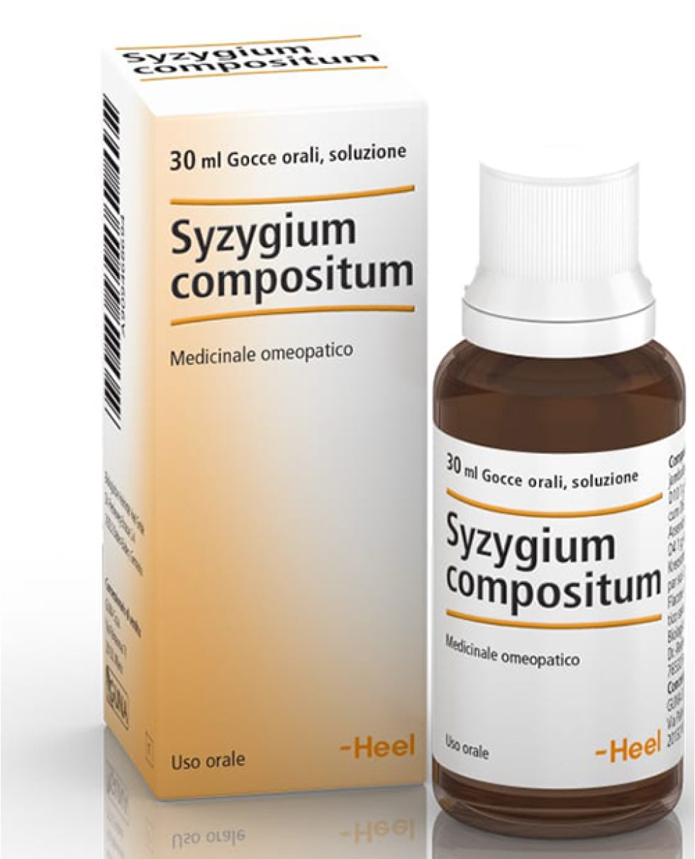 SYZYGIUM COMP 30ML GTT HEEL