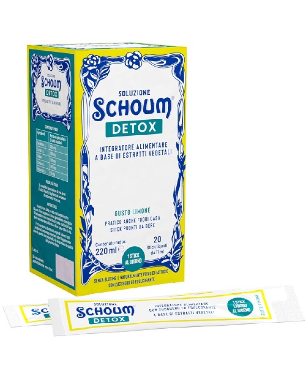 SOLUZIONE SCHOUM DETOX 20STICK