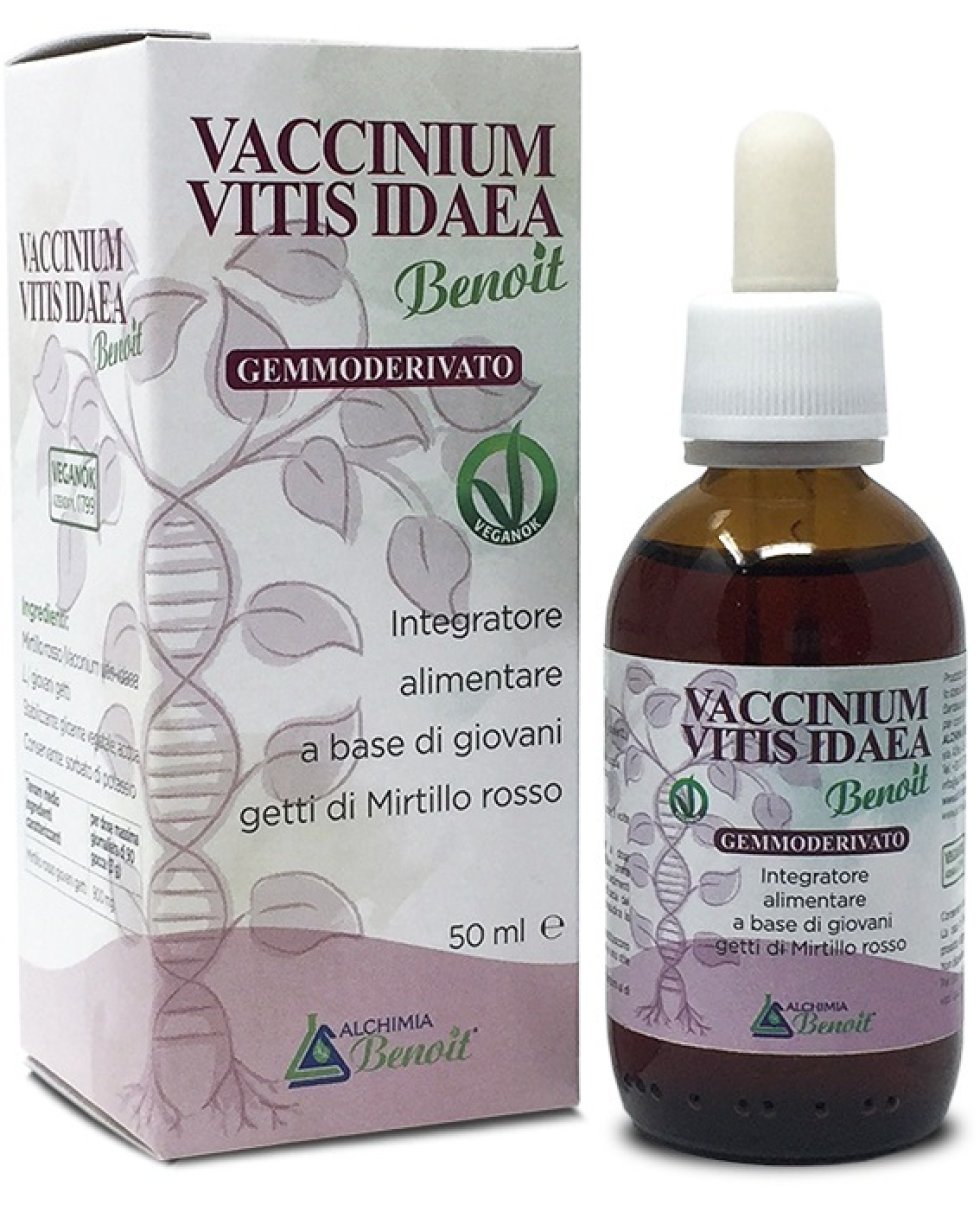 VACCINIUM VITIS IDAEA GEMM50ML