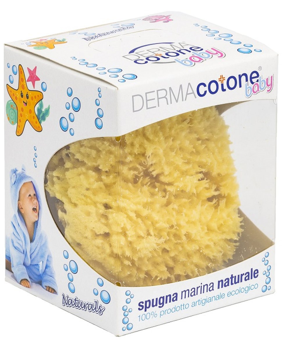 DERMACOTONE BB Spugna Marina