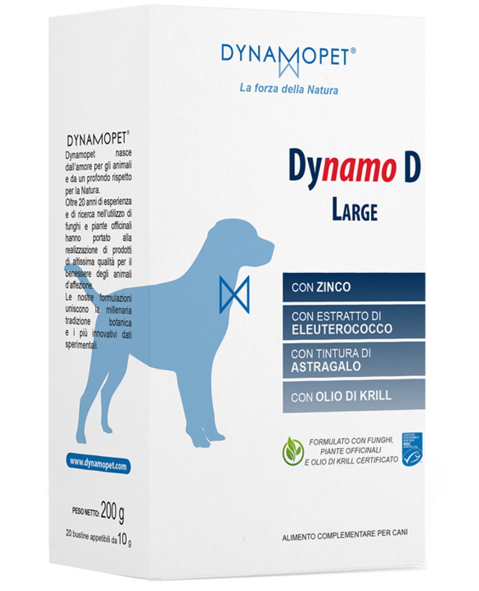 DYNAMO D MEDIUM 20BUST