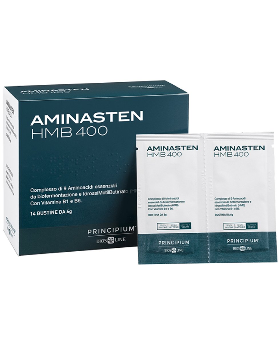 PRINCIPIUM AMINASTEN HMB400 14
