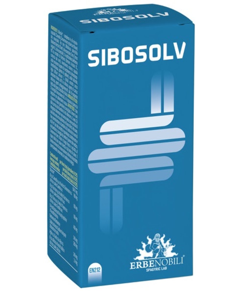 SIBOSOLV 60Cps AcidoResisti