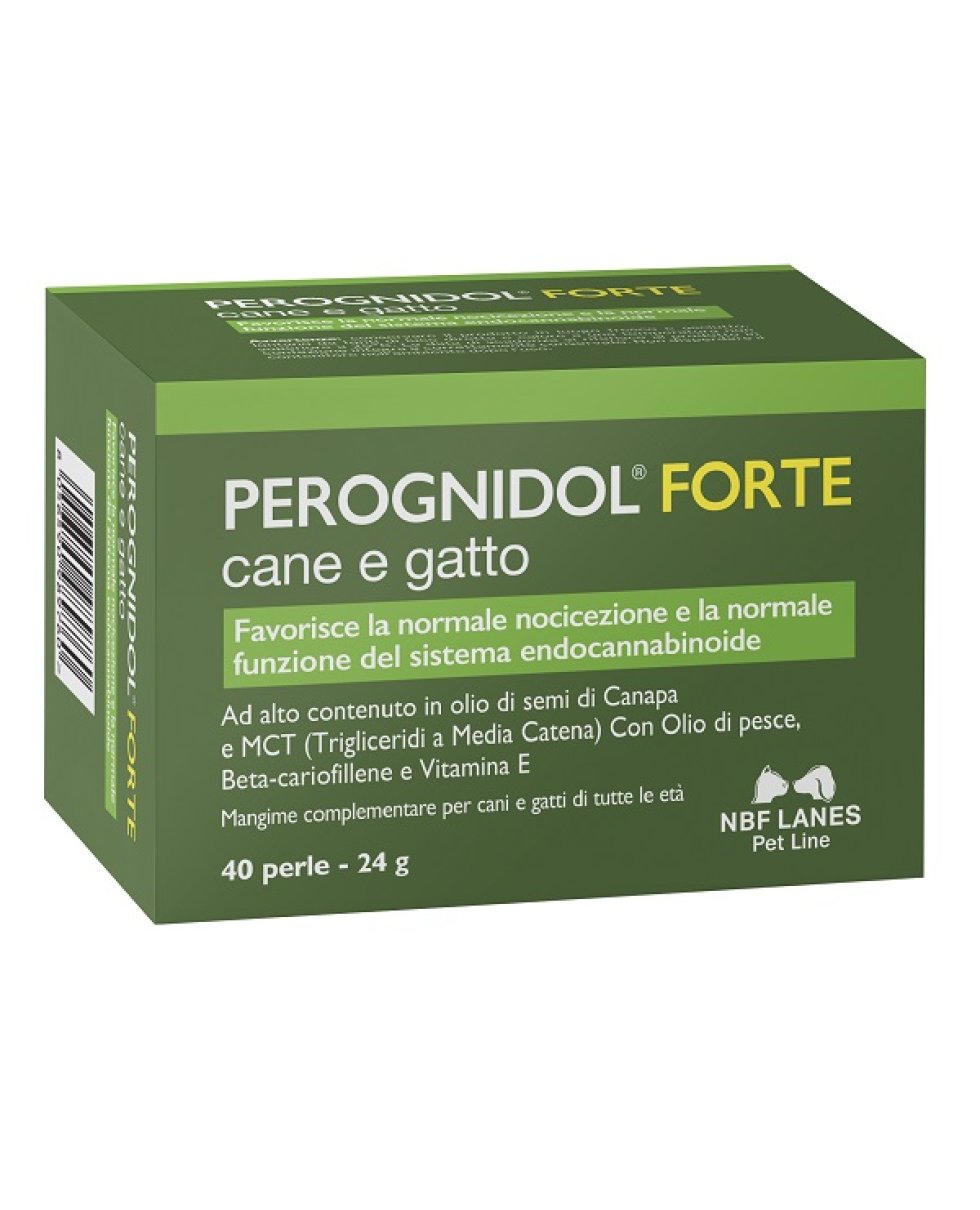 PEROGNIDOL Cane&Gatto FtePerle