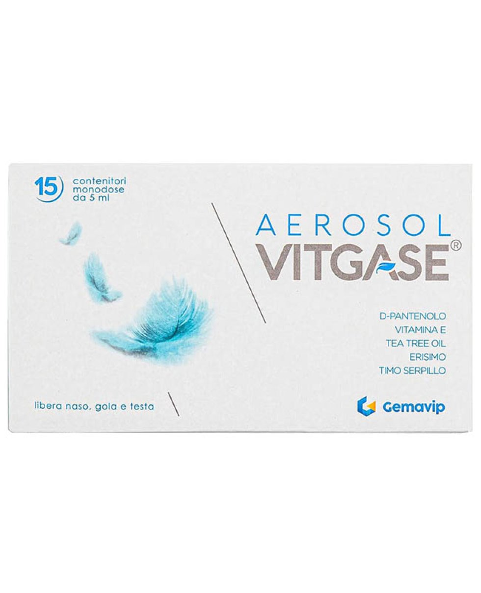 VITGASE AEROSOL 15F 25ML