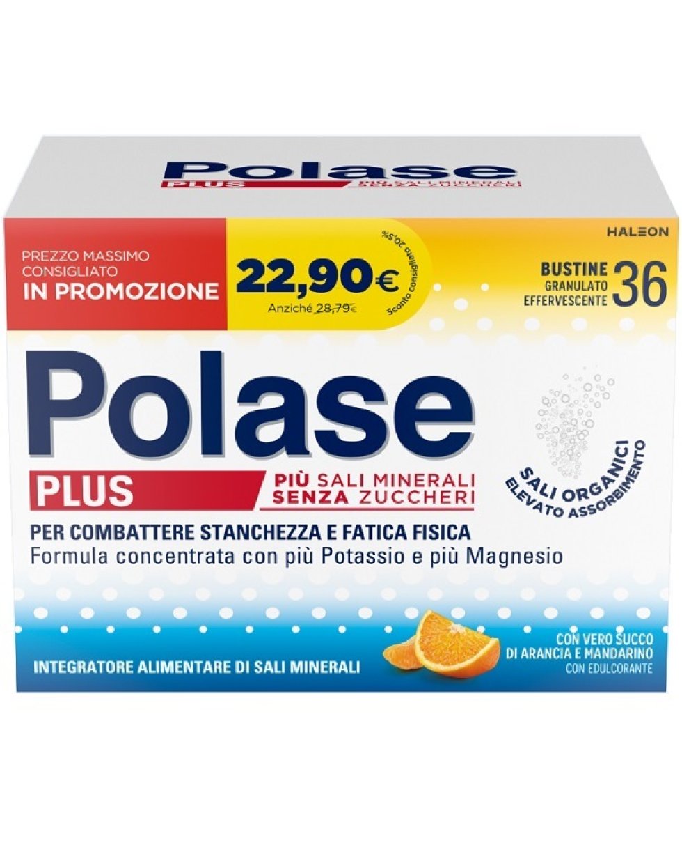 POLASE PLUS 36BUST PROMO 2024