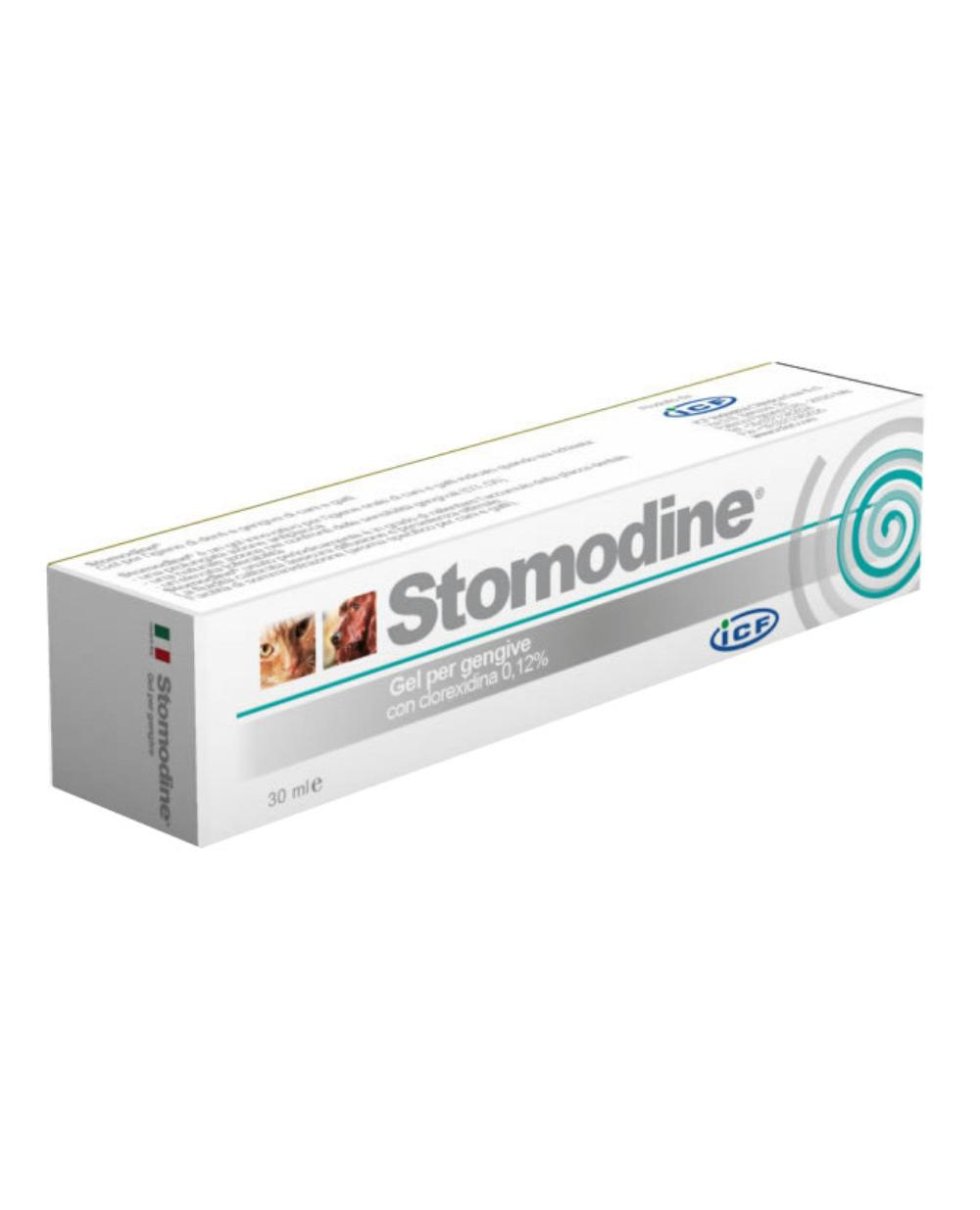 STOMODINE GEL GENG 30ML CANI