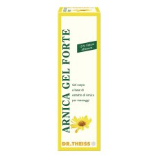 ARNICA GEL FTE 100 DR.THEISS