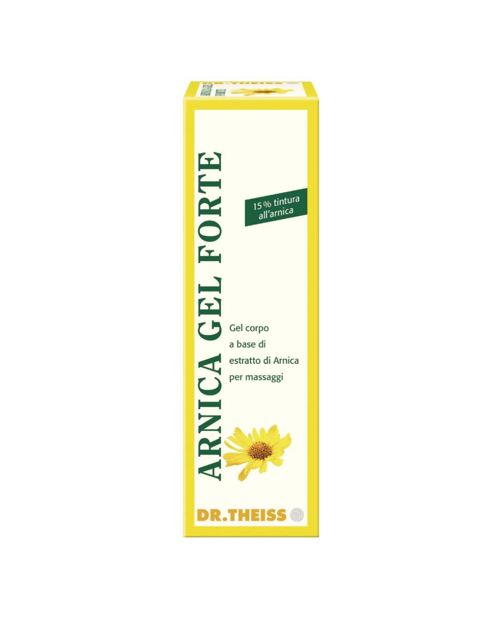 ARNICA GEL FTE 100 DR.THEISS