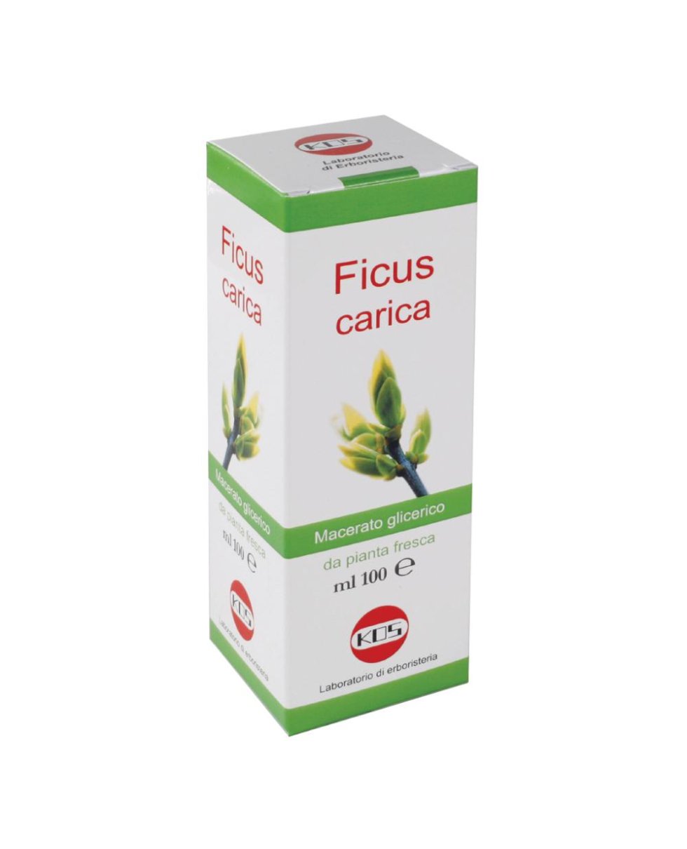 FICUS CARICA MG GTT 100ML KOS