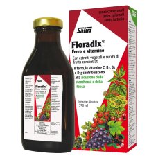 FLORADIX-INTEG FERRO 250ML