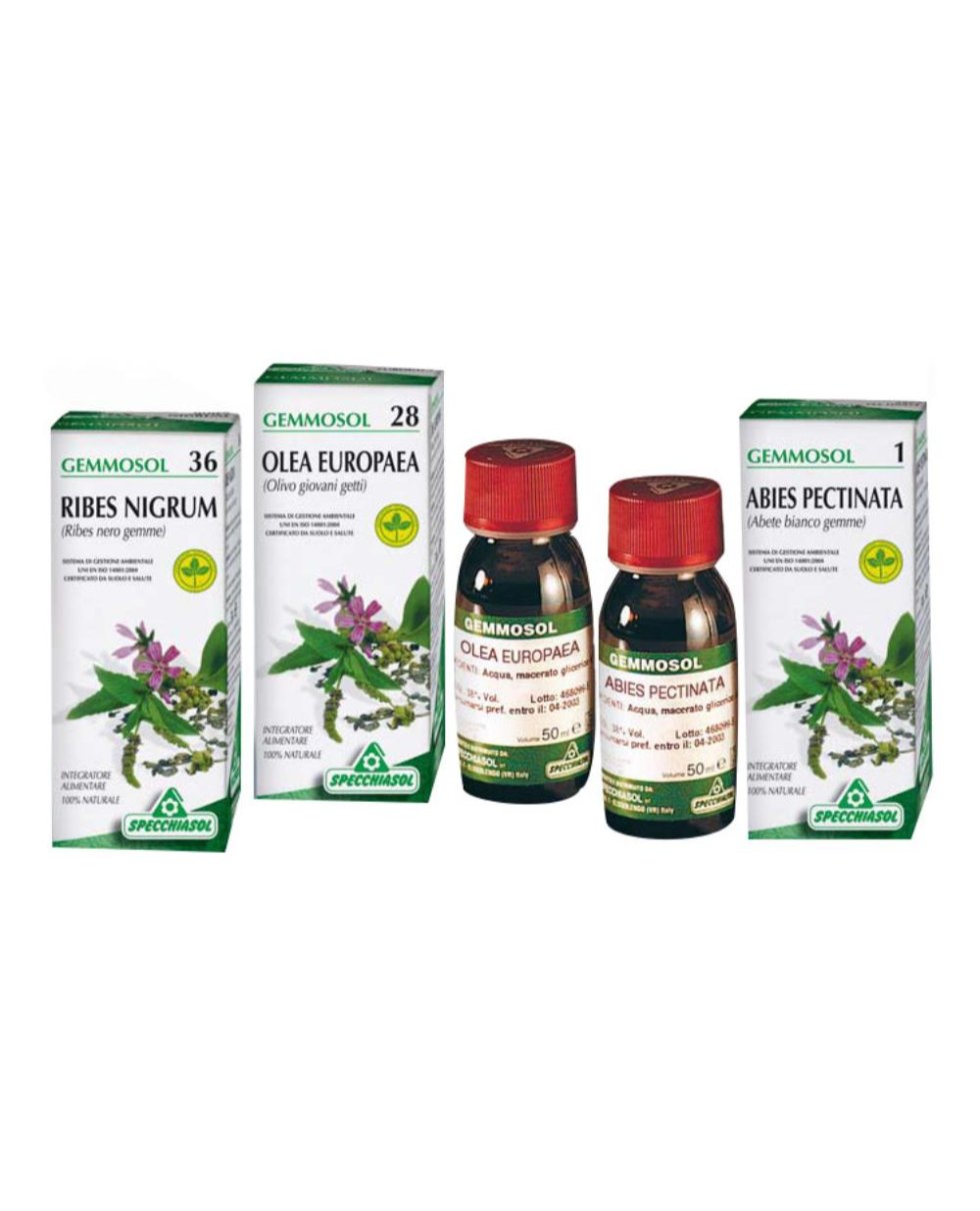 GEMMOSOL 36 RIBES NERO 50ML