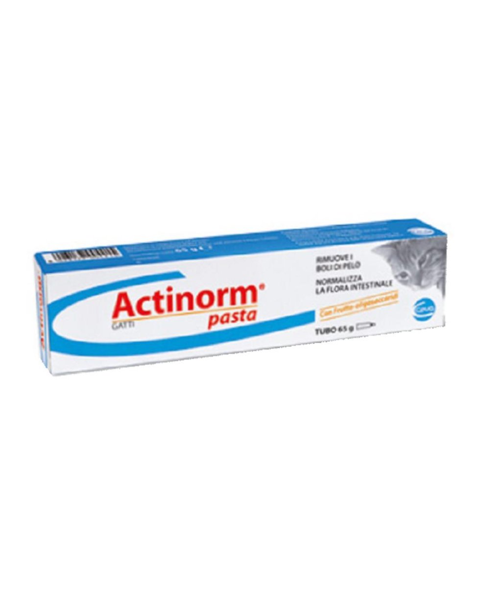 ACTINORM PASTA GATTI 65G