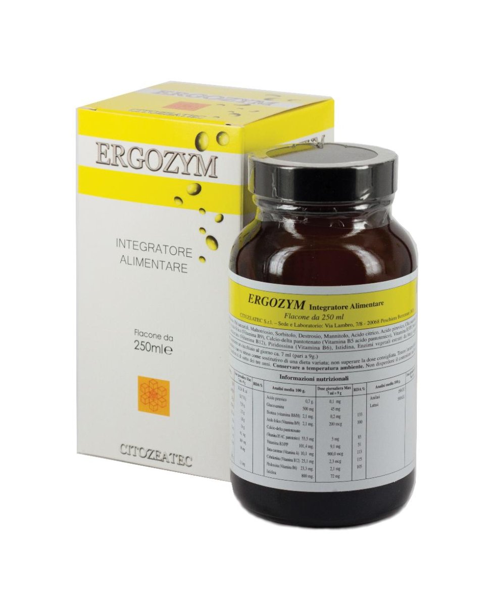 ERGOZYM 250ML