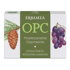 OPC 24CPS VEG S/GL 500MG ERBAMEA