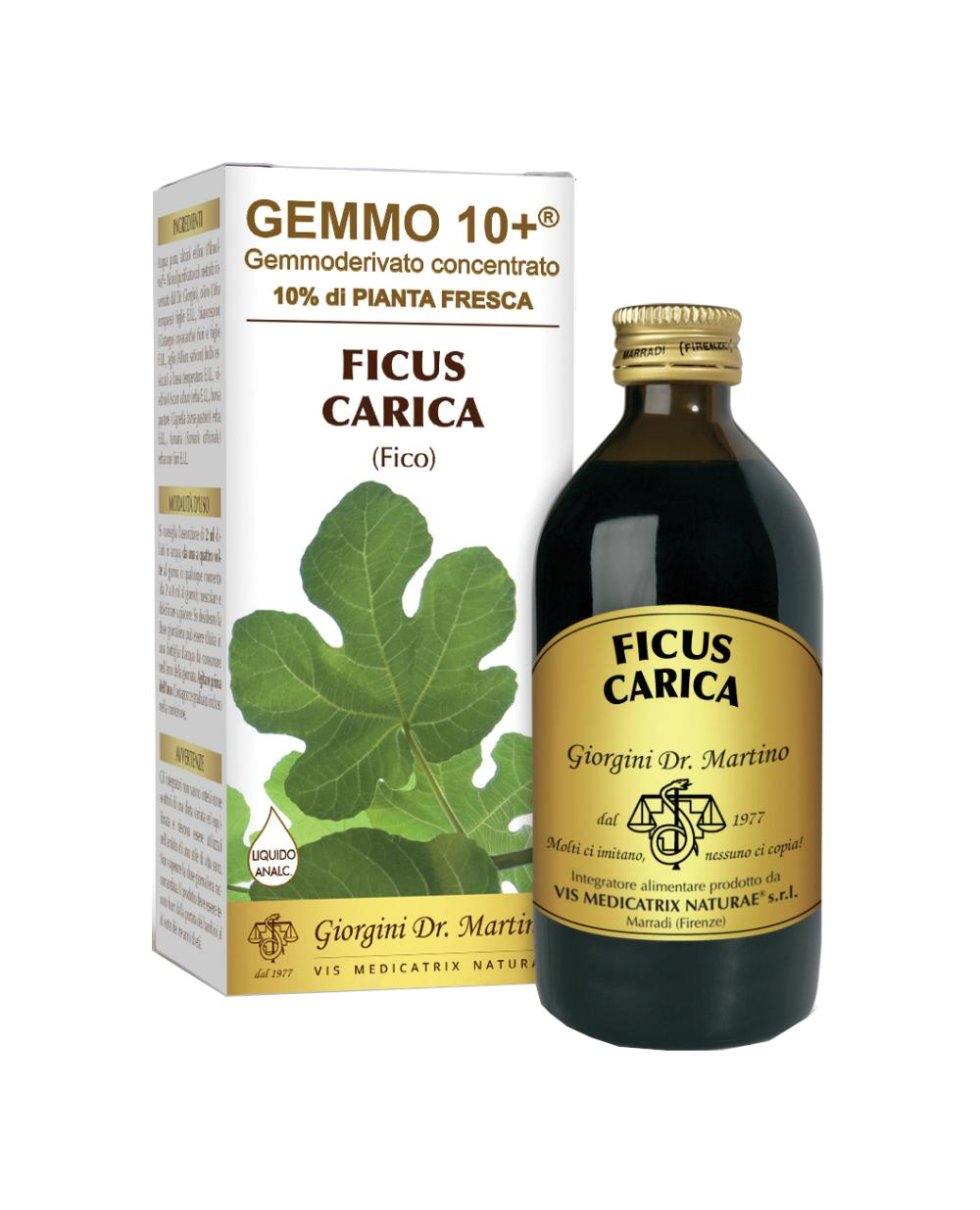 FICO GEMMO 10+ S/ALC 200ML FERRI