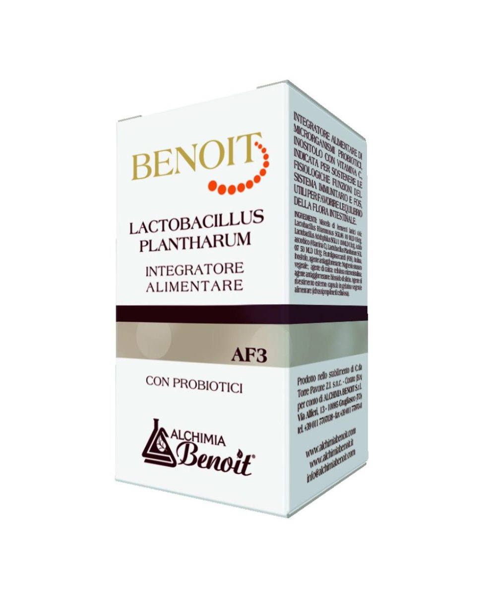 BENOIT AF3 LACTOBACILLUS PLANTHA