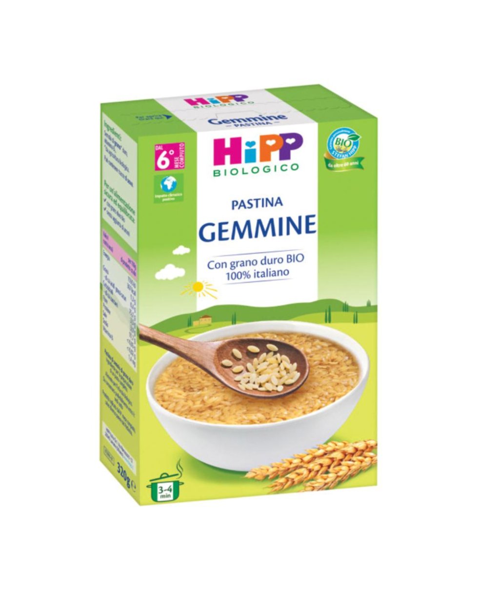 HIPP PASTINA GEMMINE 320G