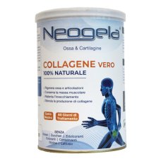 NEOGELA POLVERE 400GR ZETA 92