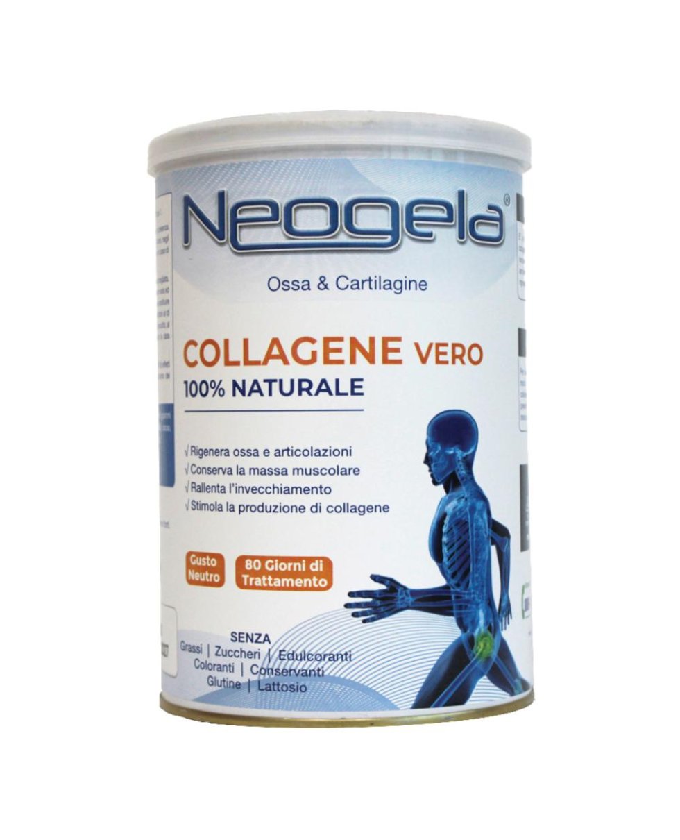 NEOGELA POLVERE 400GR ZETA 92