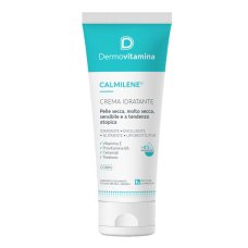 DERMOVITAMINA CALMILENE 250