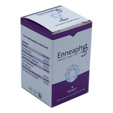 ENNEAPHYT 3 40CPR OROSOL 300MG