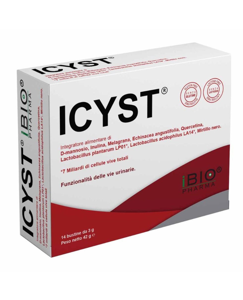 ICYST 14BUST