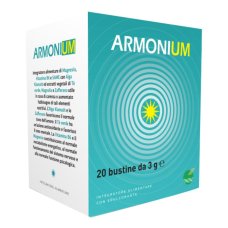 ARMONIUM 20BUSTINE 3G