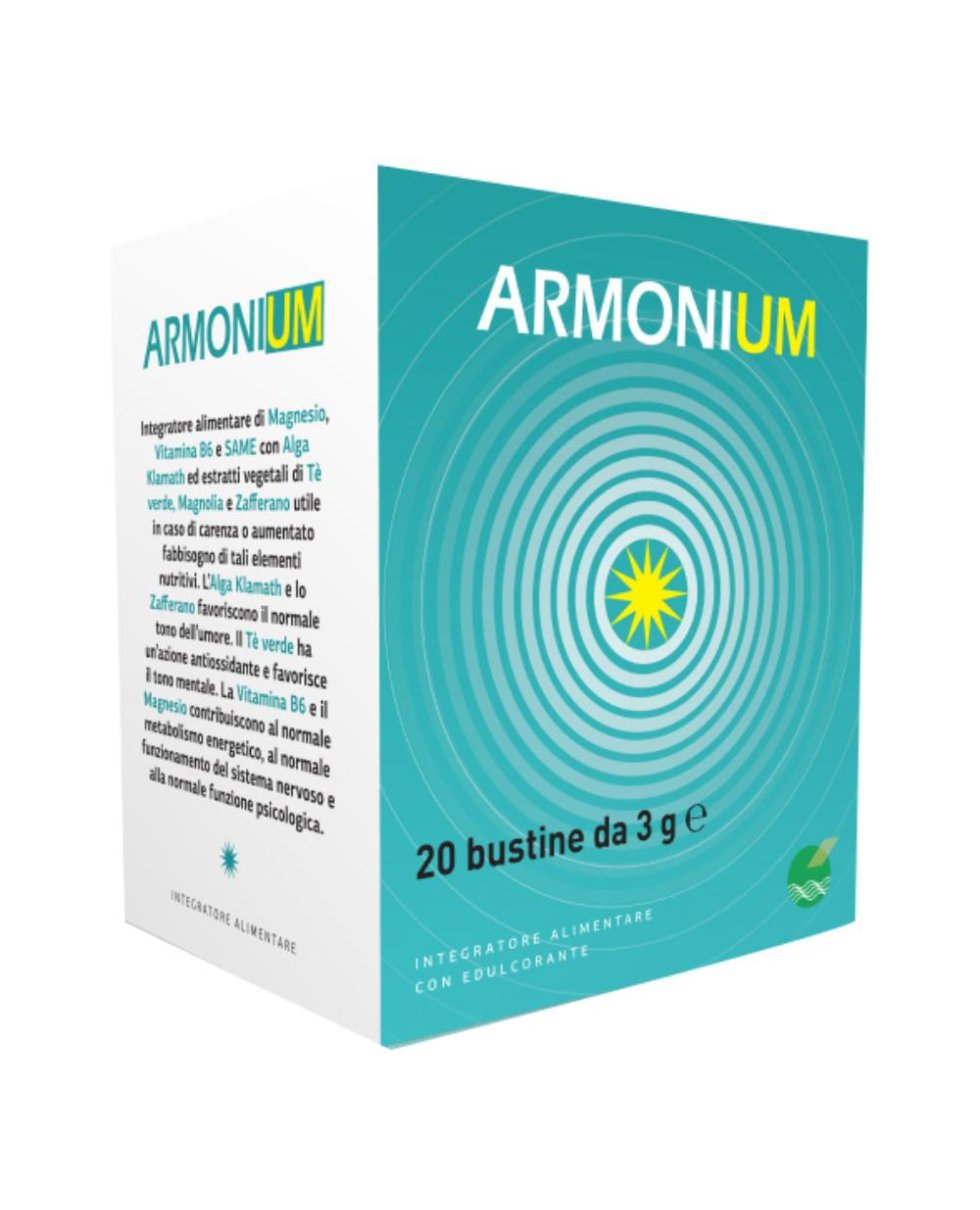 ARMONIUM 20BUSTINE 3G