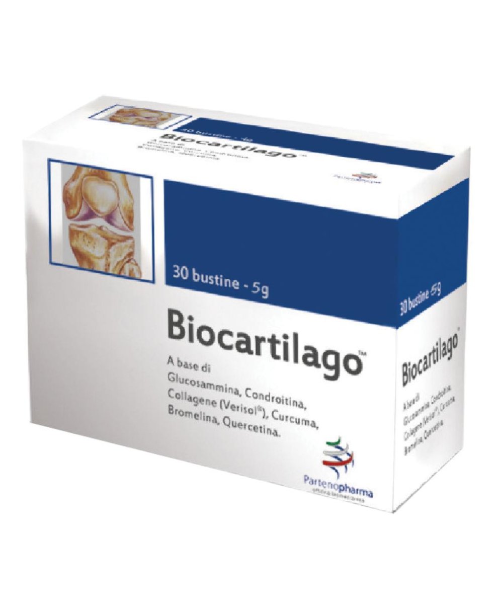 BIOCARTILAGO BS