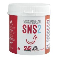 SNS2 100G