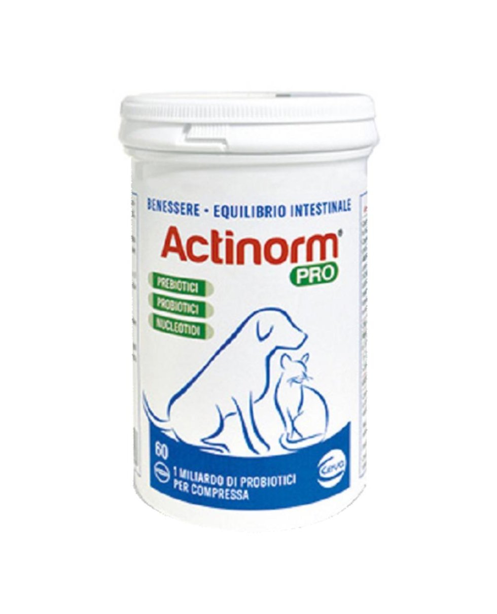 ACTINORM PRO 60CPR