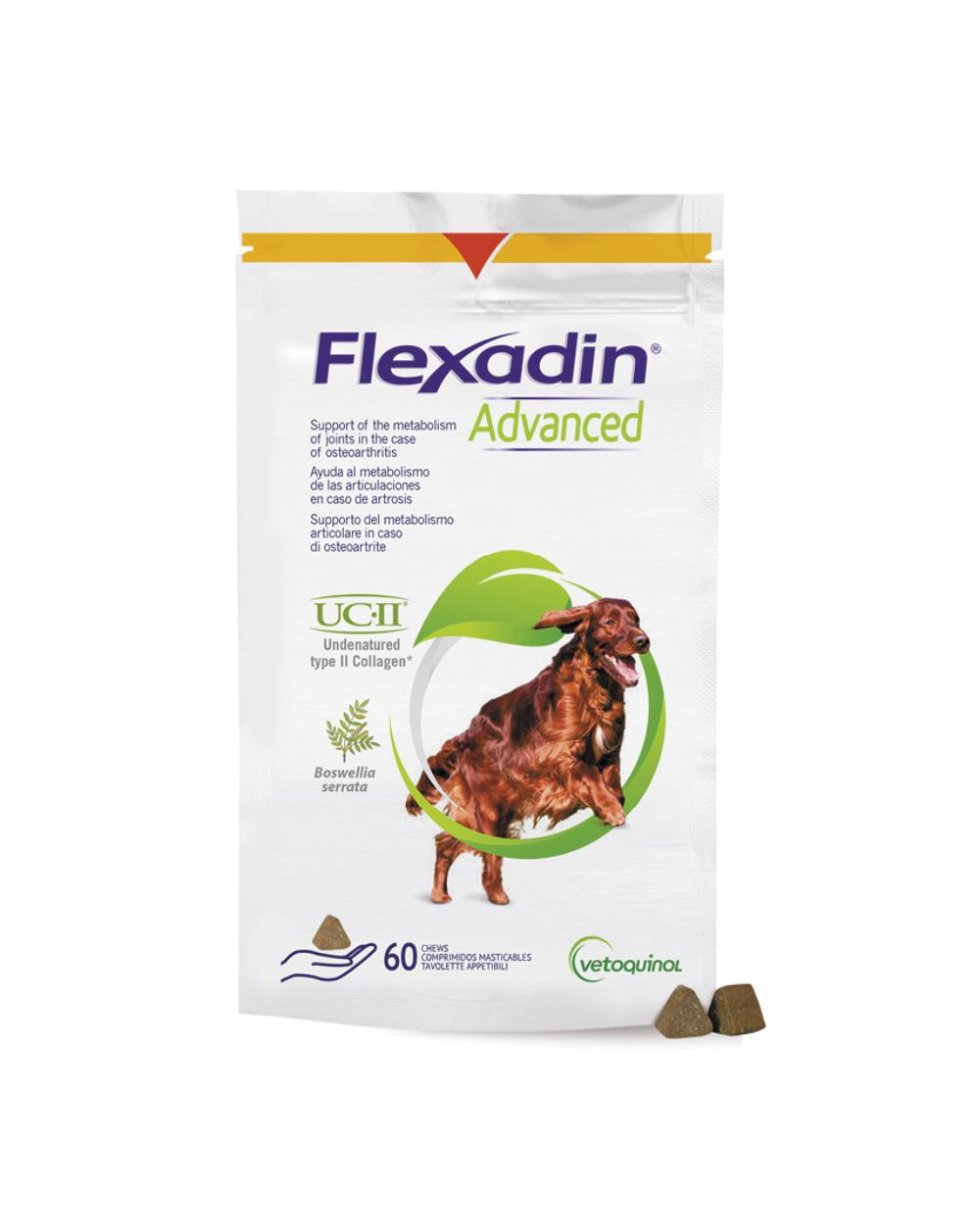 FLEXADIN ADVANCED 60TAV MASTIC