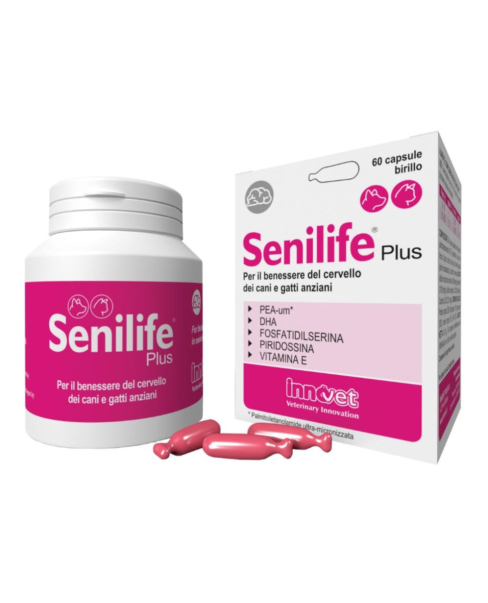 SENILIFE PLUS 60CPS