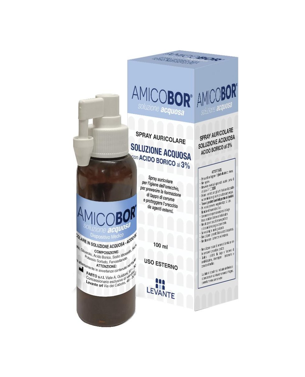 AMICOBOR SOL ACQUOSA 100ML