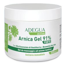 ADEGUA ARNICA PLUS 91% GEL EXTRA