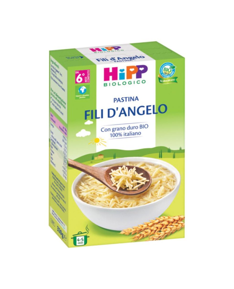 HIPP BIO PASTINA FILI D'AN 320G