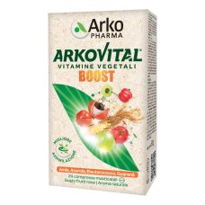 ARKOVITAL BOOST 24CPR