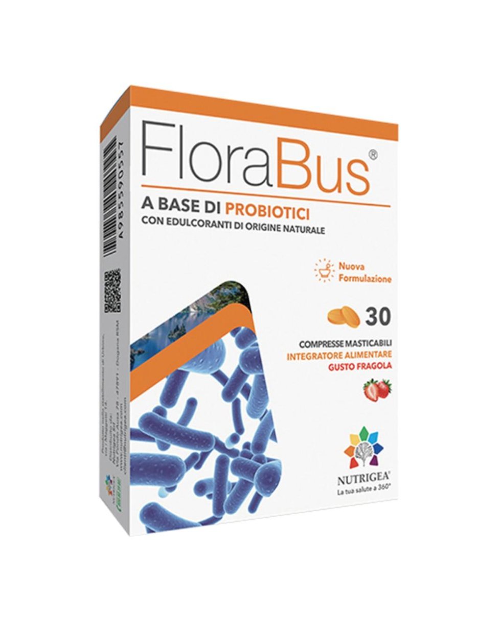 FLORABUS 30CPR MASTIC